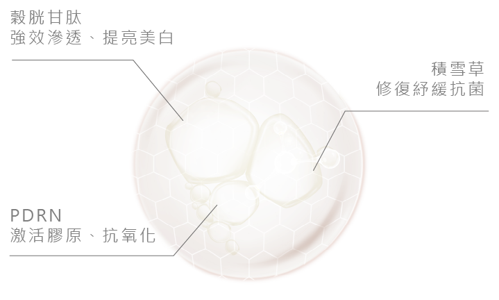 工作區域 33.png