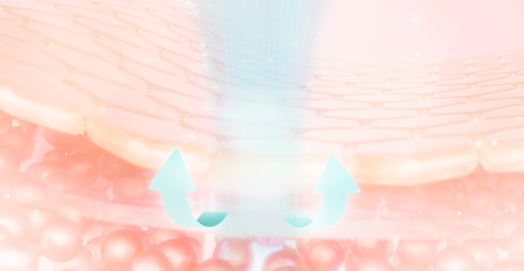 未命名-5.png